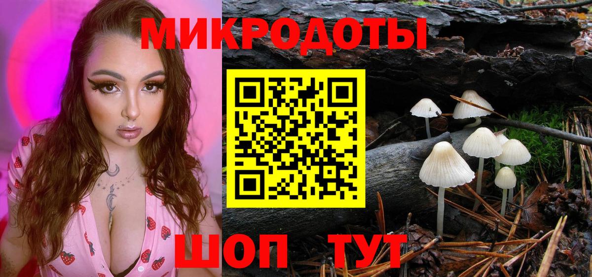 Галлюциногенные грибы Magic Shrooms  Псилоцибиновые грибы мухоморы  Чебоксары  Вход с VPN 